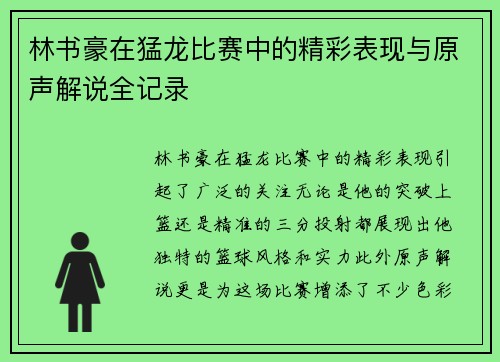 林书豪在猛龙比赛中的精彩表现与原声解说全记录