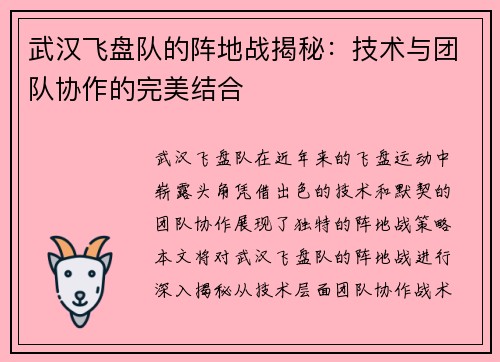 武汉飞盘队的阵地战揭秘：技术与团队协作的完美结合